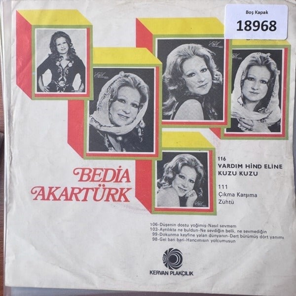 sadece-kapak-_-bedia-akarturk-_-vardim-44e78b.jpg