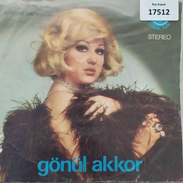 sadece-kapak-_-gonul-akkor-_-dargin-ay-06e5e9.jpg