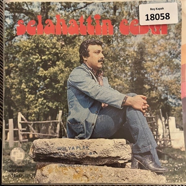 sadece-kapak-_-selahattin-cesur-_-bu-b-f979e0.jpg