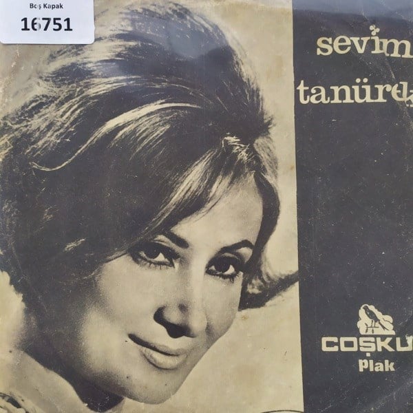 sadece-kapak-_-sevim-tanurek-_-ne-seni-302e56.jpg
