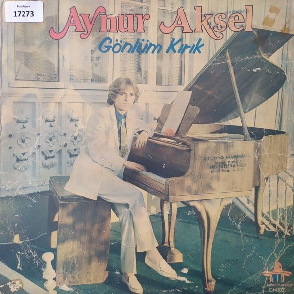 sadece-kapak-aynur-aksel-gonlum-kirik---ed6c-.jpg