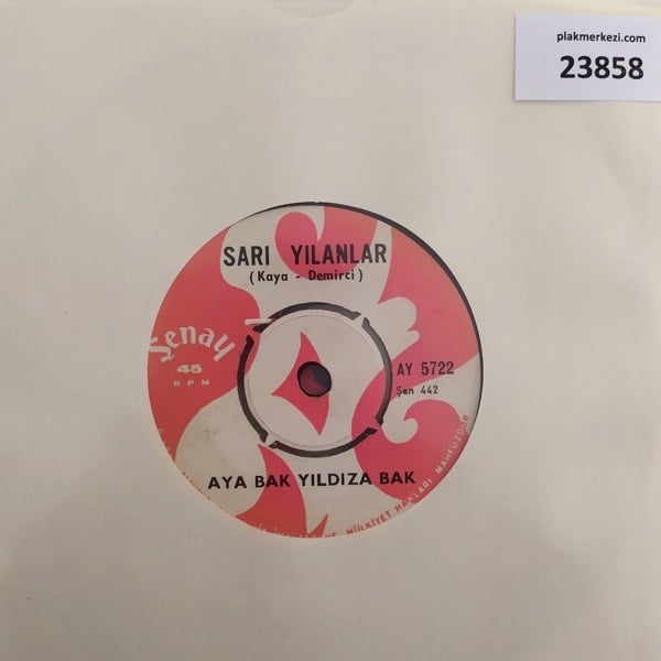 sari-yilanlar-aya-bak-yildiza-bak-su-s-560639.jpg