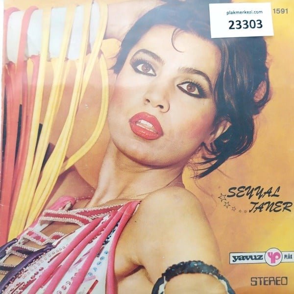 seyyal-taner-sorma-neydi-o-neden-gelme-4a81-b.jpg