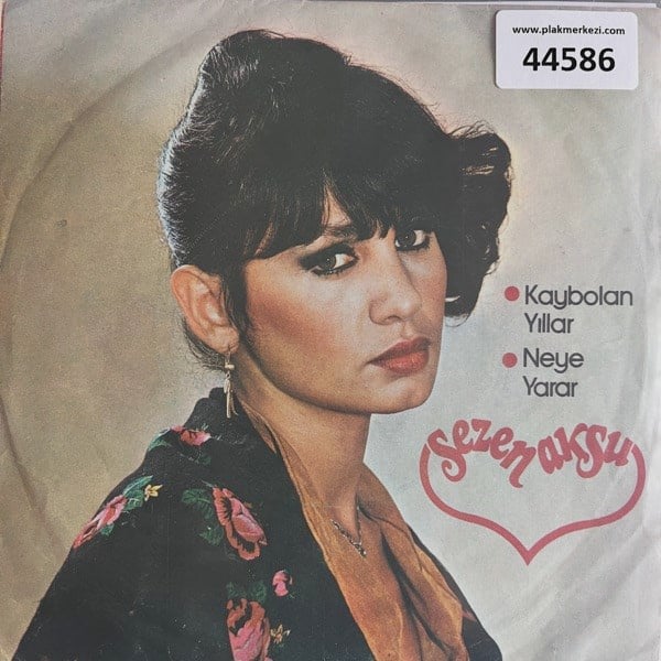 sezen-aksu-kaybolan-yillar-neye-yarar---43e6-.jpg