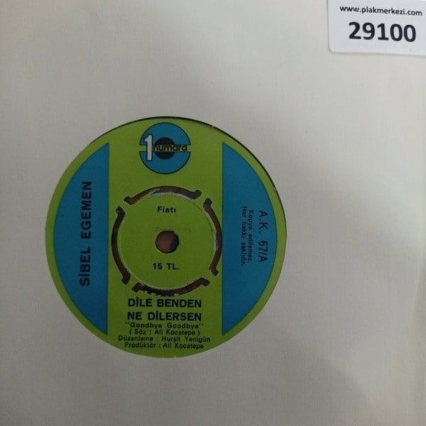 sibel-egemen-dile-benden-ne-dilersen-h-eb9-f9.jpg