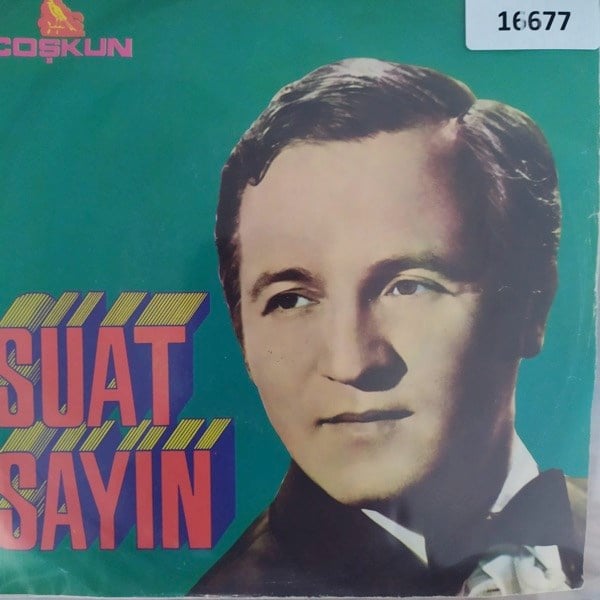 suat-sayin-guzelligin-harac-mezat-bir--79-445.jpg