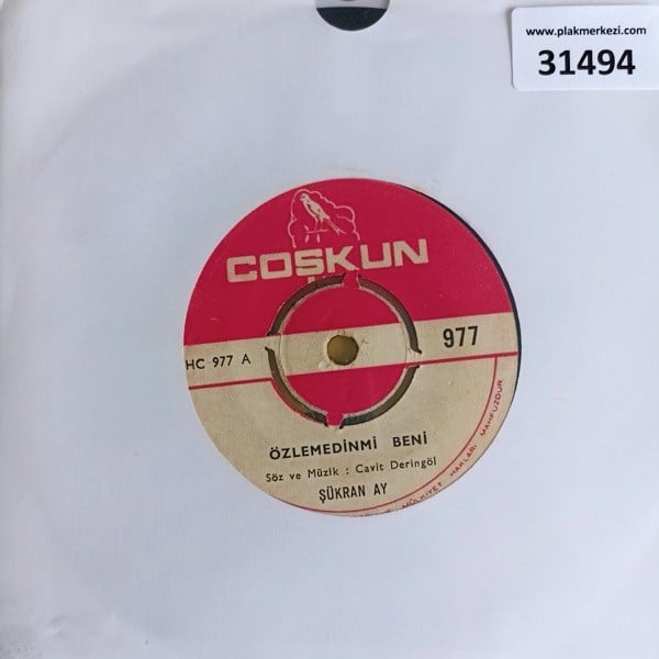 sukran-ay-ozlemedinmi-beni-kirdin-beni-3b71-4.jpg