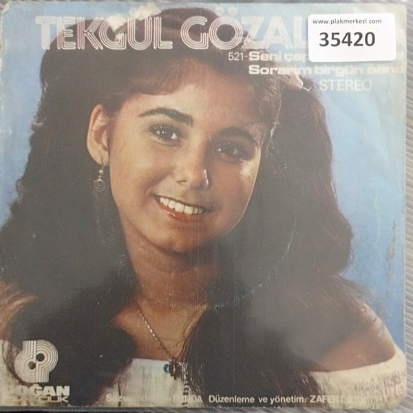 tekgul-gozalan-seni-capkin-yaramaz-sor-e10c38.jpg