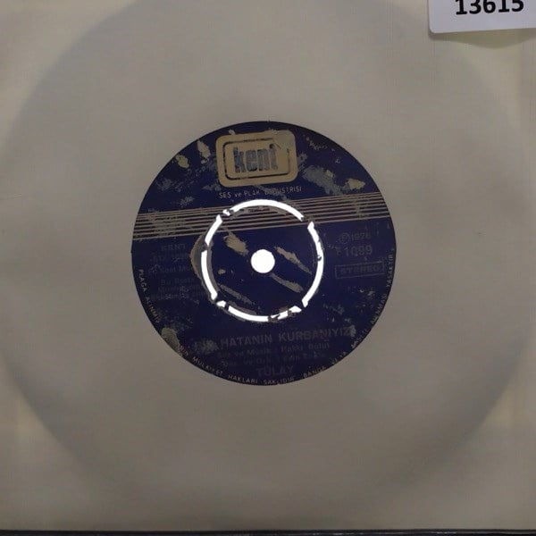 tulay-bir-hatanin-kurbaniyizoldurecekl-9b97-2.jpg