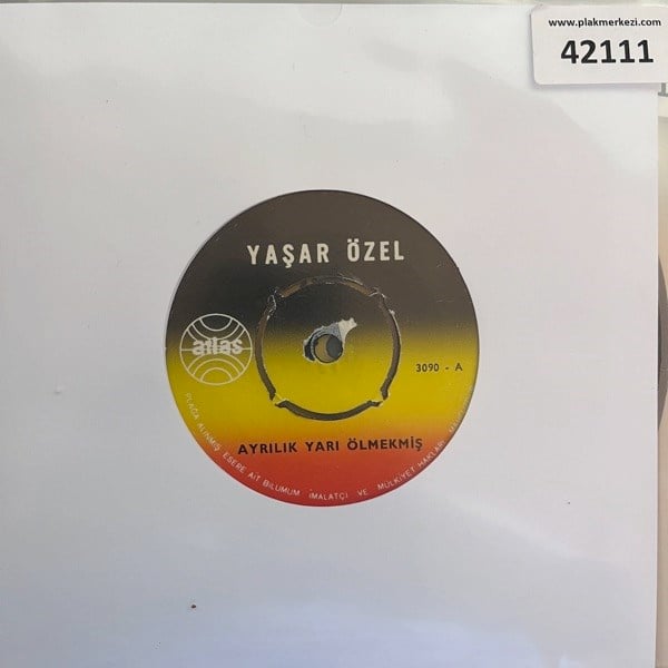 yasar-ozel-ayrilik-yari-olmekmis-aylar--377c4.jpg