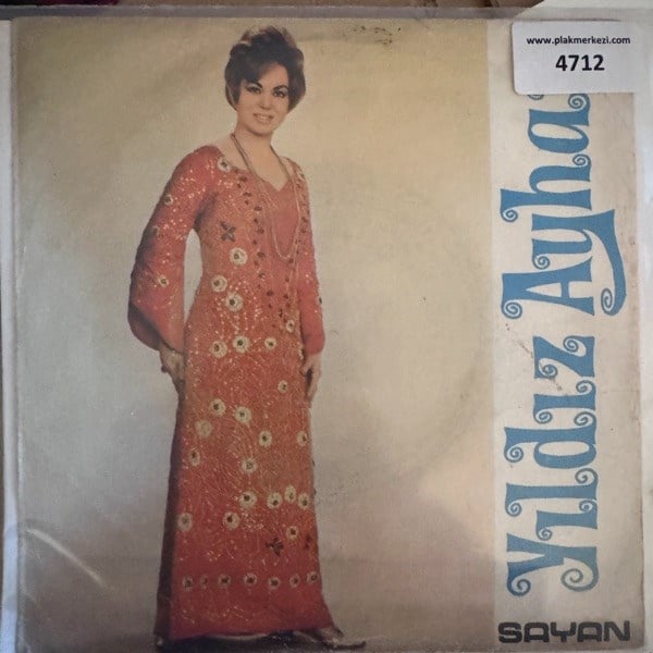yildiz-ayhan-bir-kisgene-bostorgayseyi-956994.jpg