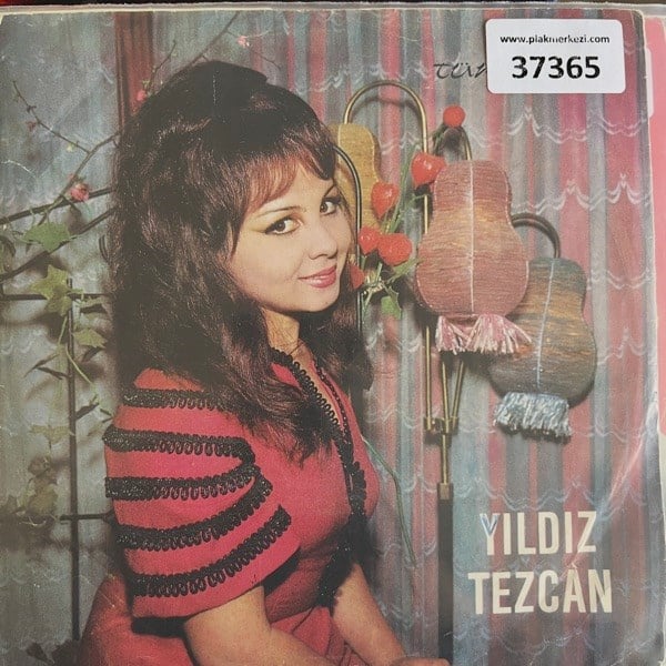 yildiz-tezcan-hastahane-yollari-cevizi-83e0a-.jpg