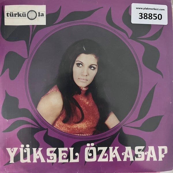 yuksel-ozkasap-bir-ruzgarmi-atti-beni---7bd8-.jpg