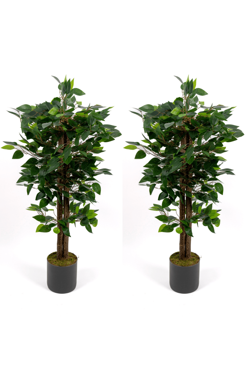 2’li Yapay Benjamin Ağacı Seti – 100 cm Gri Saksılı Dekoratif Salon & Ofis Bitkisi
