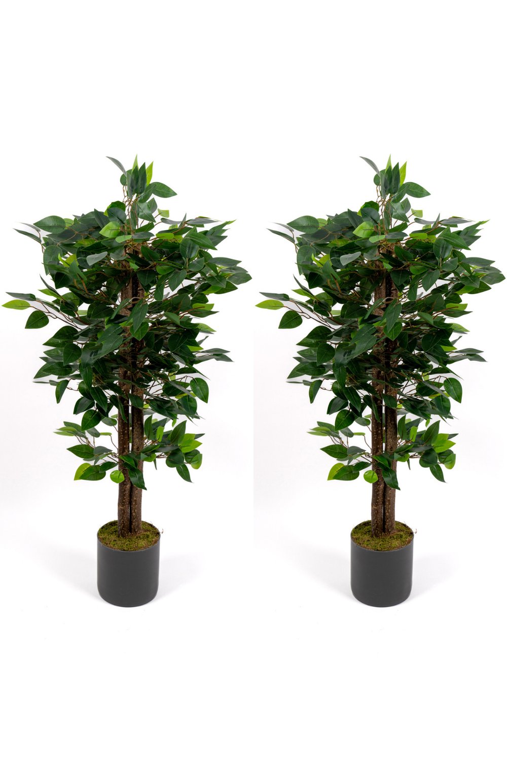2’li Yapay Benjamin Ağacı Seti – 100 cm Gri Saksılı Dekoratif Salon & Ofis Bitkisi