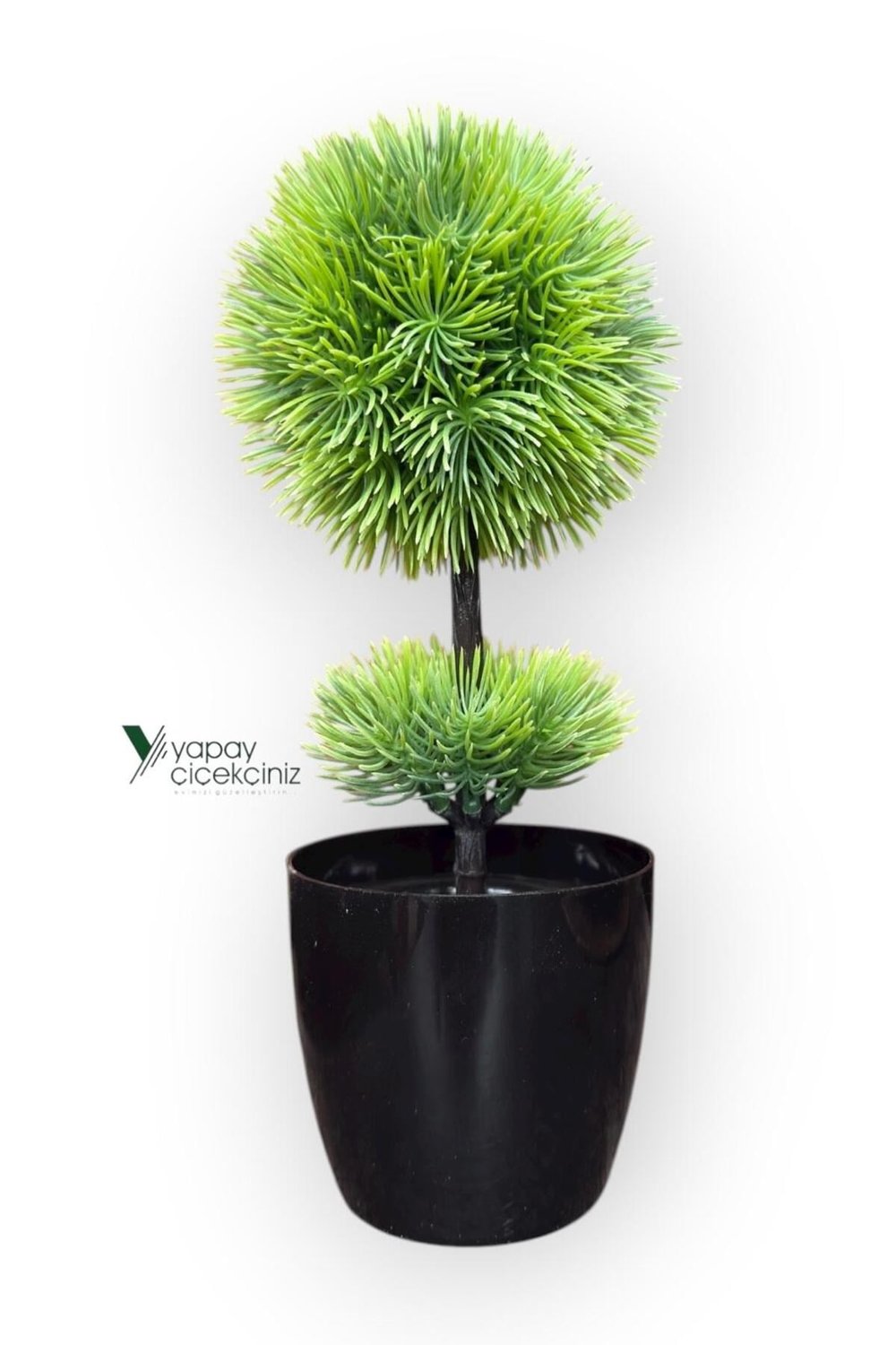 Siyah Saksıda 25 cm Mini Top Şimşir