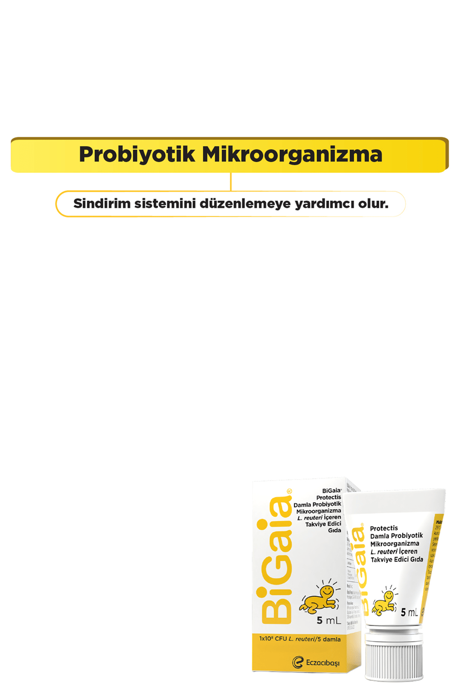 Probiyotik Damla 5 mL - 1 Aylık Kullanım - Sindirim Sistemi&Bağışıklık&Bağırsak Desteği