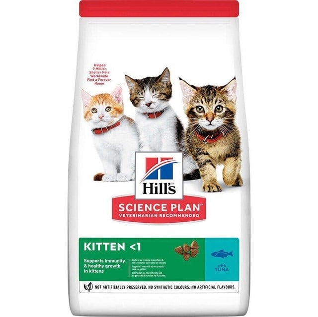hills-kitten-ton-balikli-yavru-kedi-ma-5-8649.jpg