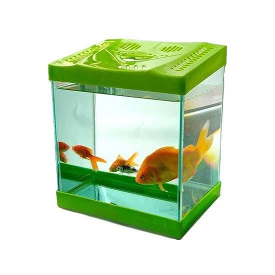 Mini Düz Akvaryum 23 Cm 23*12*20H(Kopya)