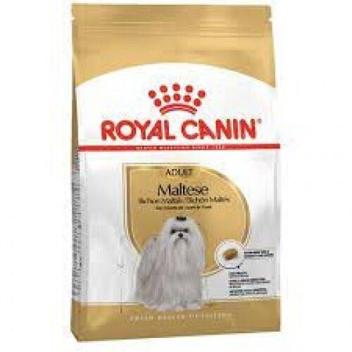 royal-canin-maltese-terrier-adult-yeti-9a-c0e.jpg