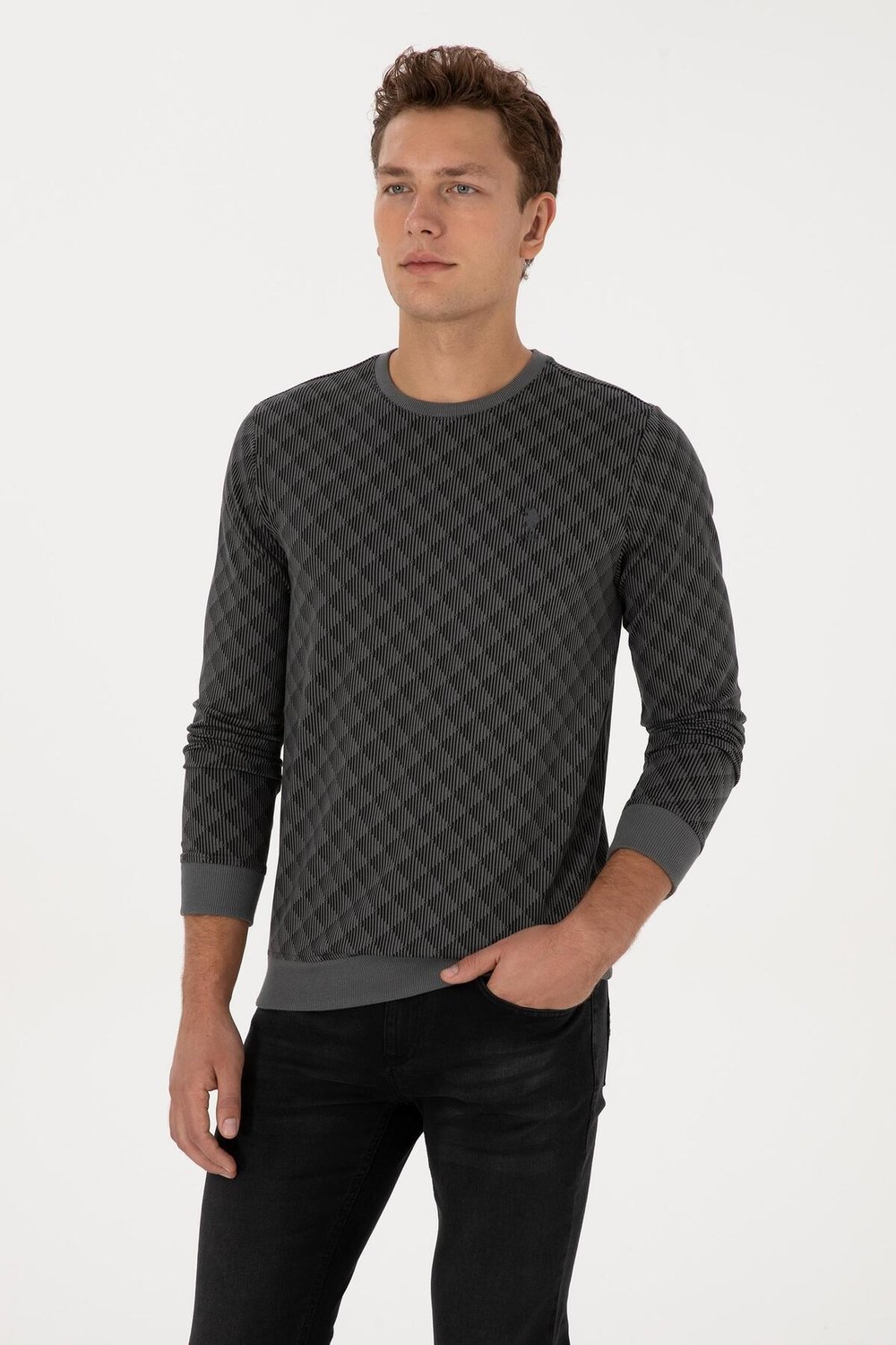 Erkek Regular Fit Bisiklet Yaka %100 Pamuk Antrasit Sweatshirt 2245989