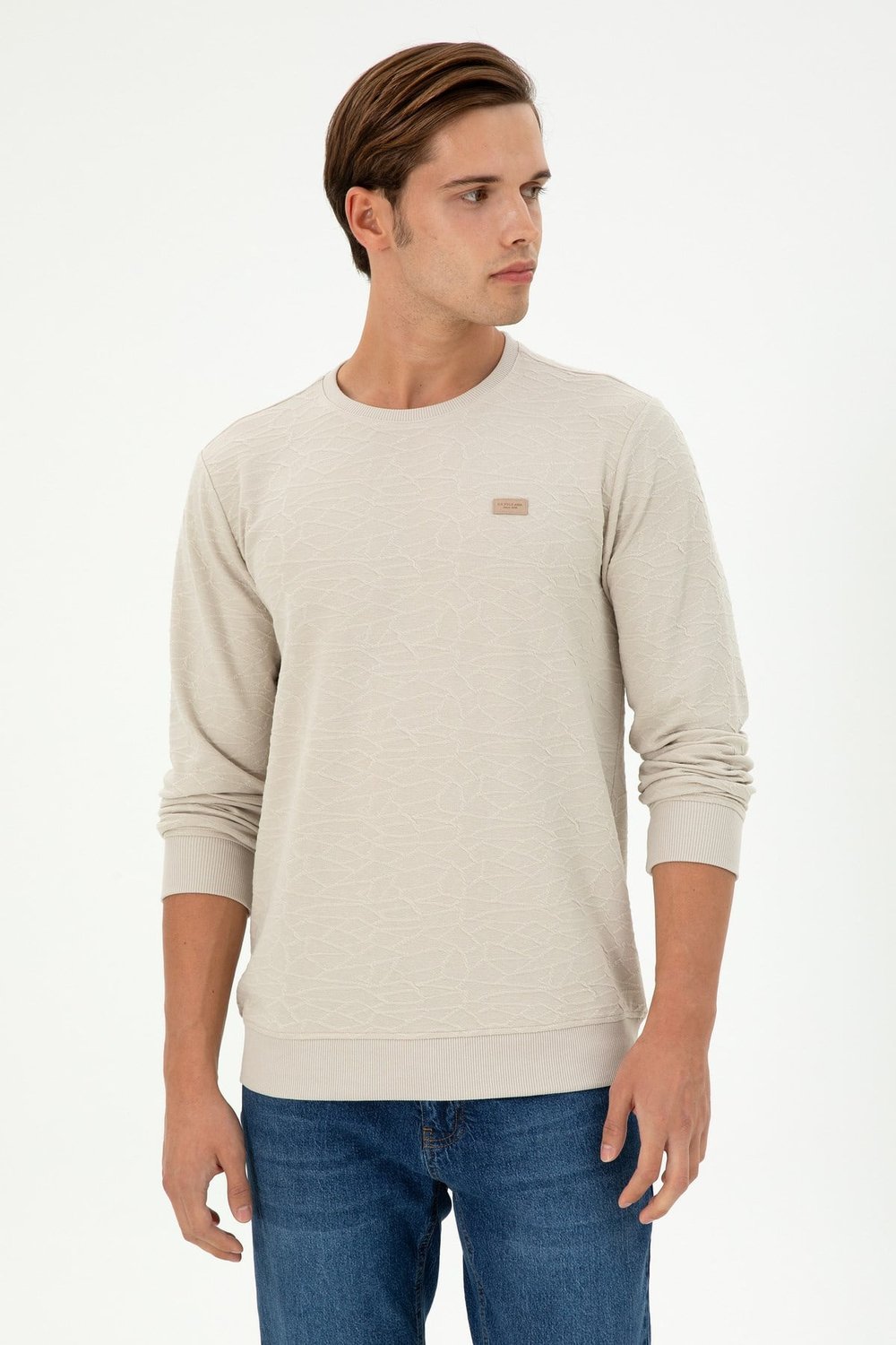 Erkek Regular Fit Bisiklet Yaka Haki Sweatshirt 1945735