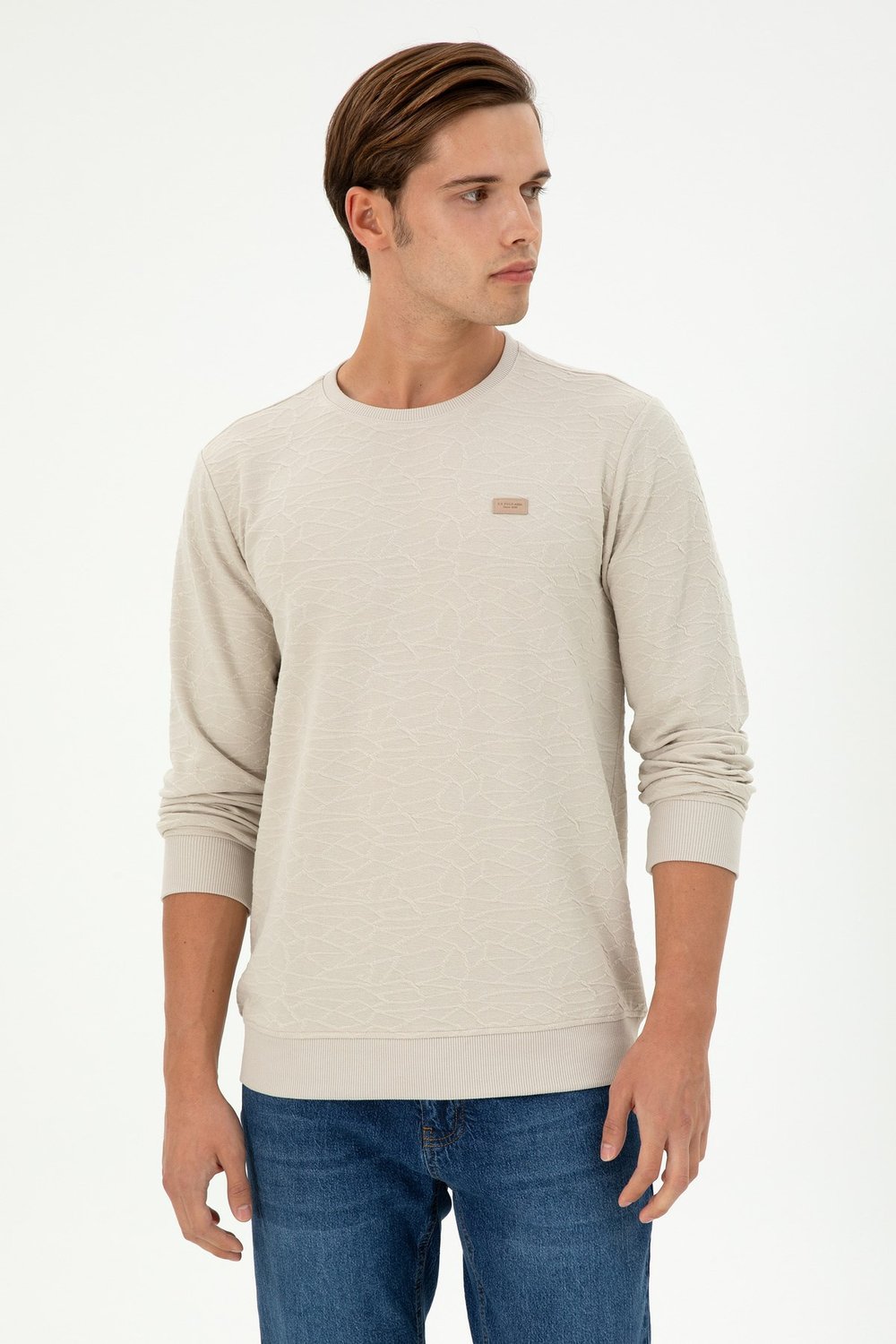 Erkek Regular Fit Bisiklet Yaka Haki Sweatshirt 1945735