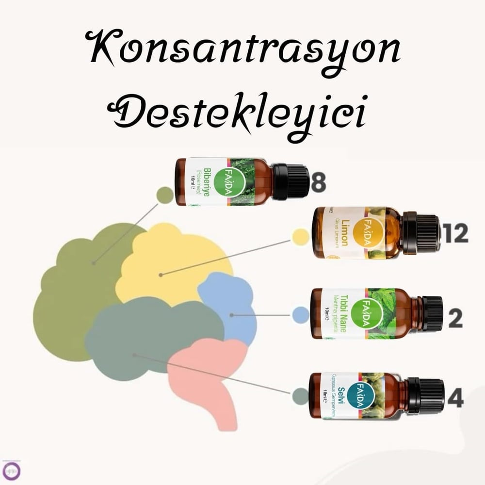 konsantrasyon-destekleyici-d60ad2.jpeg