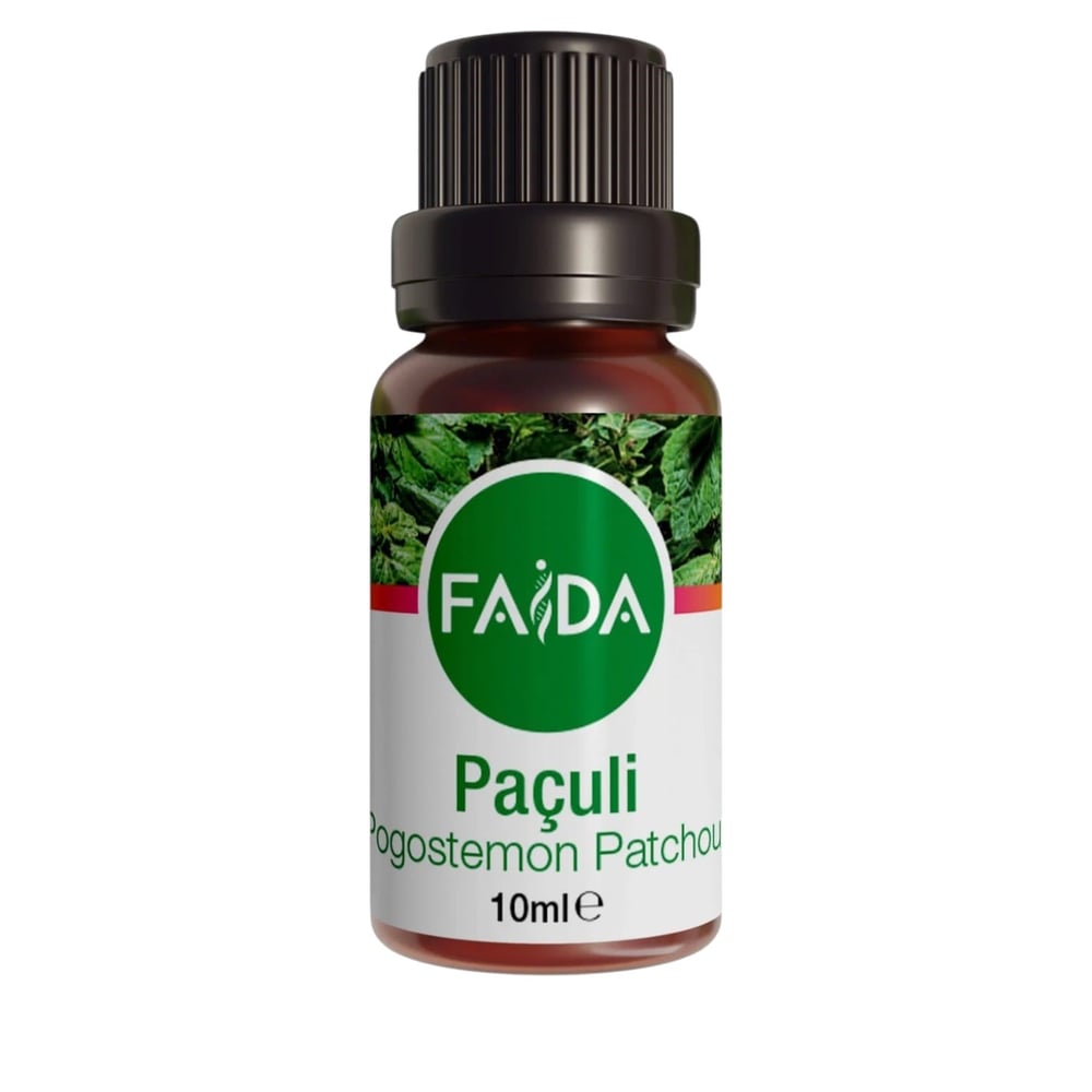 paculi-yagi-7a5b-f.jpeg