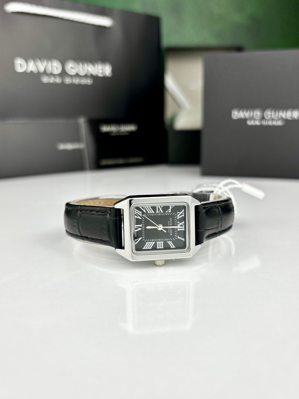 DAVID GUNER DG-8990LB-J2 KADIN KOL SAATİ