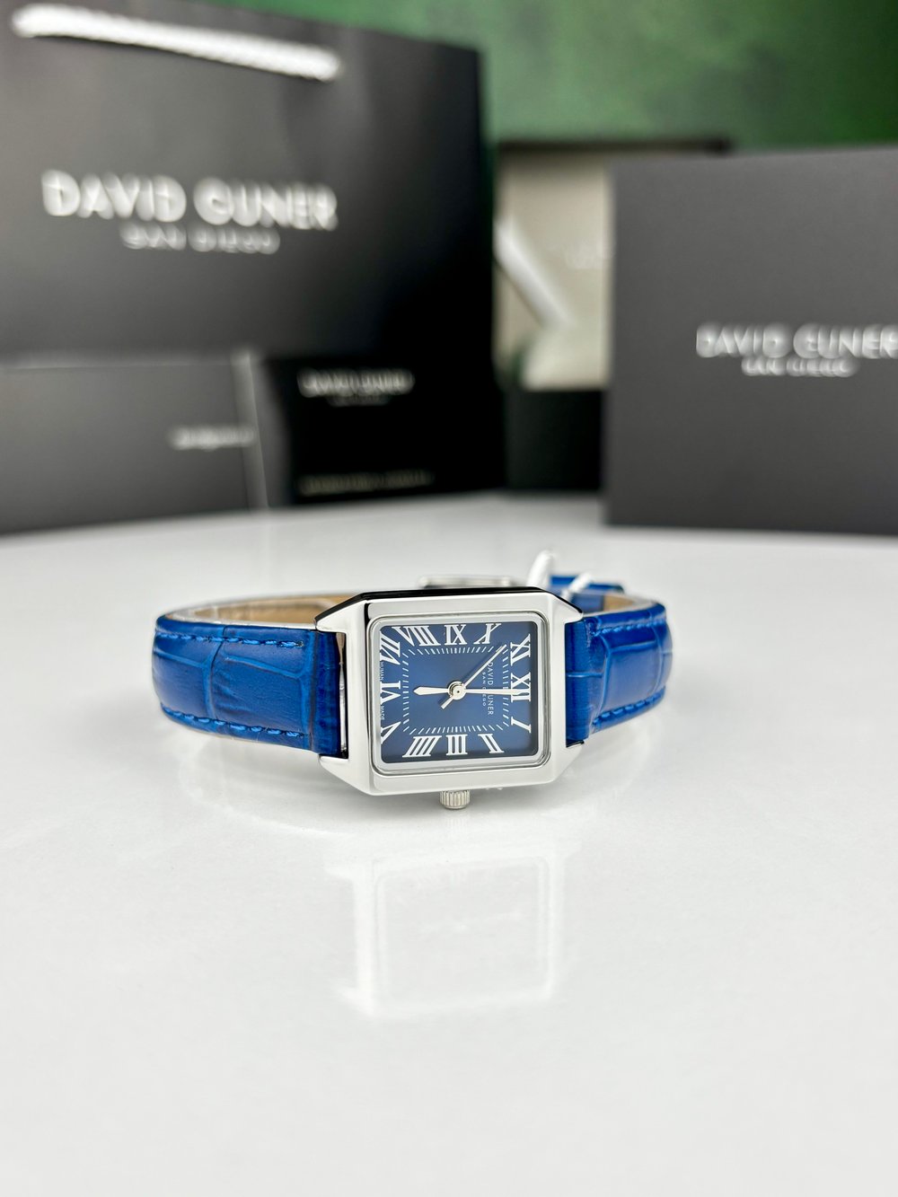 DAVID GUNER DG-8990LB-L3 KADIN KOL SAATİ