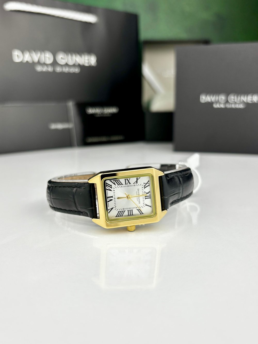 DAVID GUNER DG-8990LB-N1 KADIN KOL SAATİ