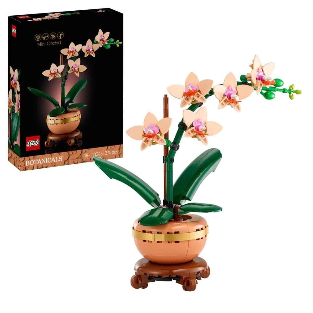ADOL-LAD10343 MINI ORKIDE 6
