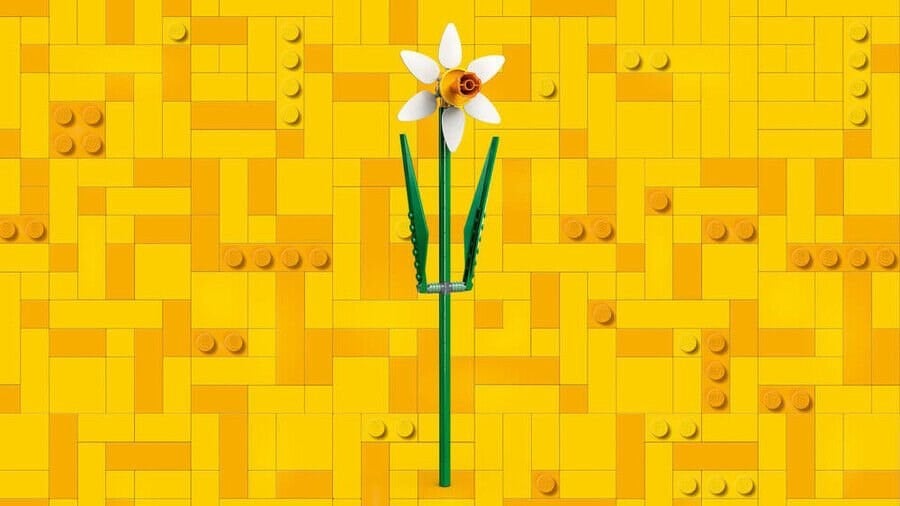 ADOL-LFL40747 DAFFODILS 4