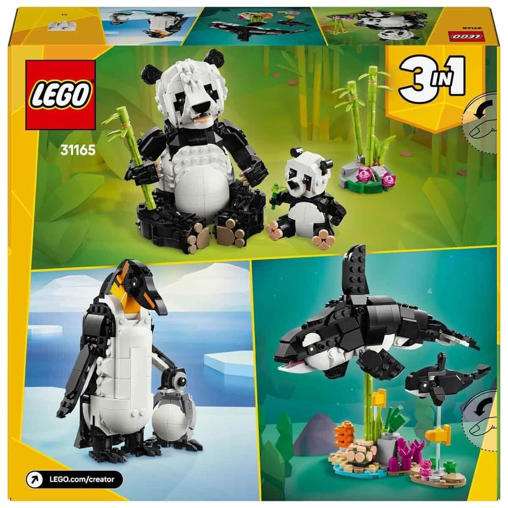 ADOL-LMC31165 PANDA AILESI 3