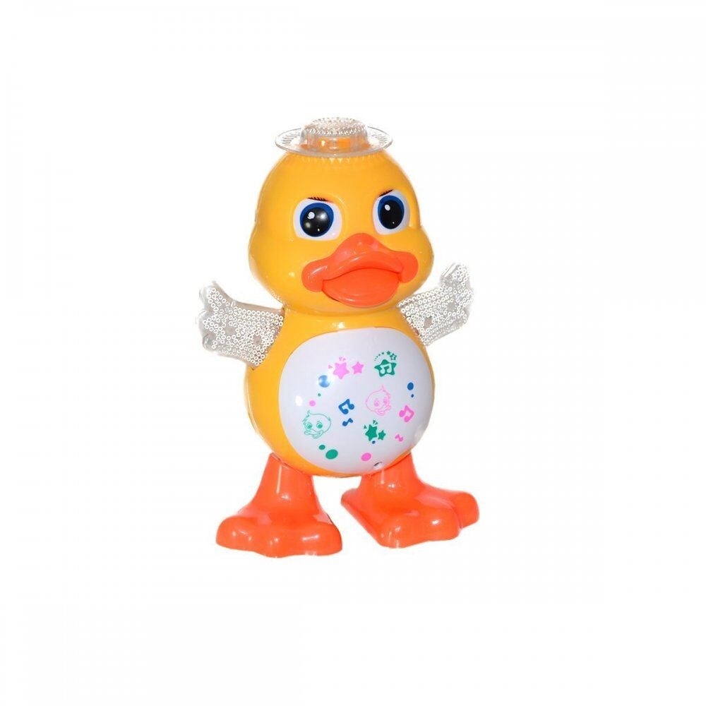 CNA-CNL6668 DANSCI ORDEK 36