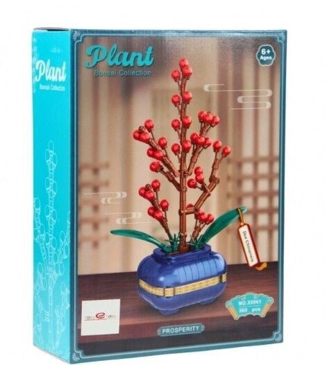 EKC-33041 BRICKS PLANT COLLECTION ILAX CHINENSIS 12