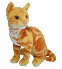 HAL-PL62441 43 CM KEDI 40