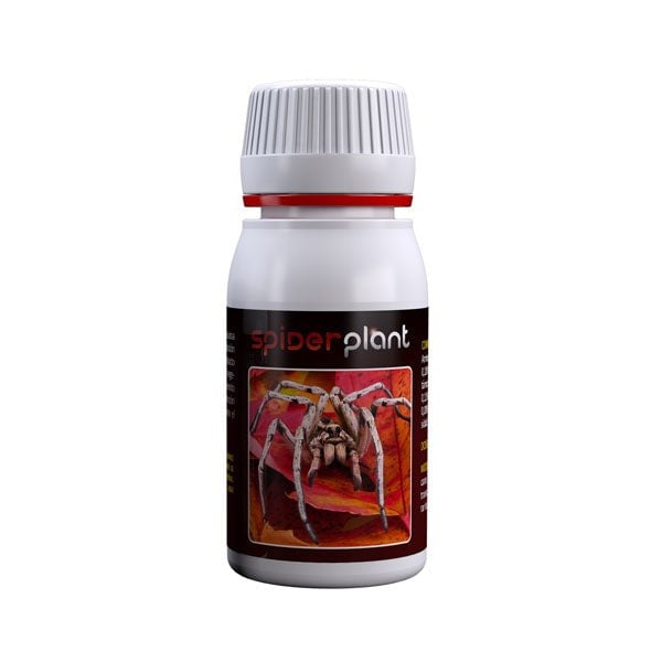Agrobacterias Spider Plant 60 ml