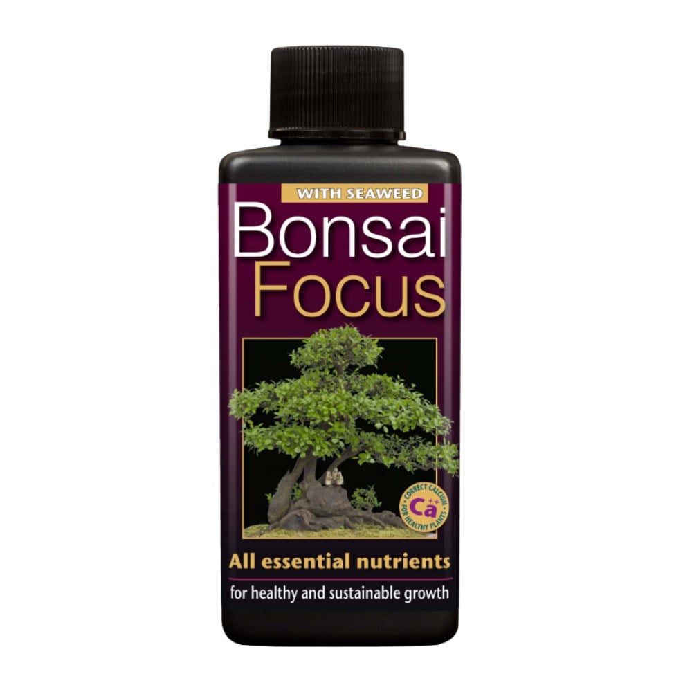 Growth Technology Bonsai Focus 100 ml