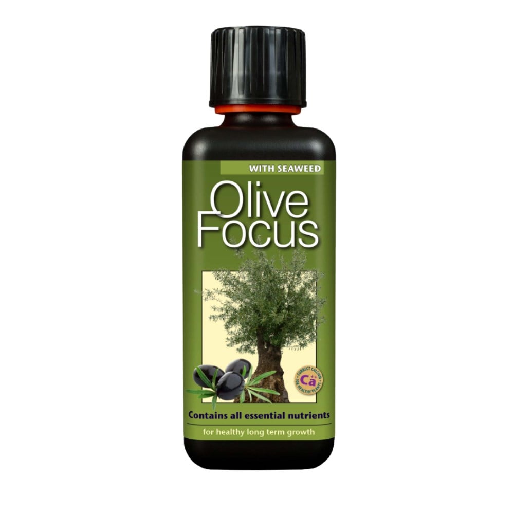 Growth Technology Olive Focus 300 ml