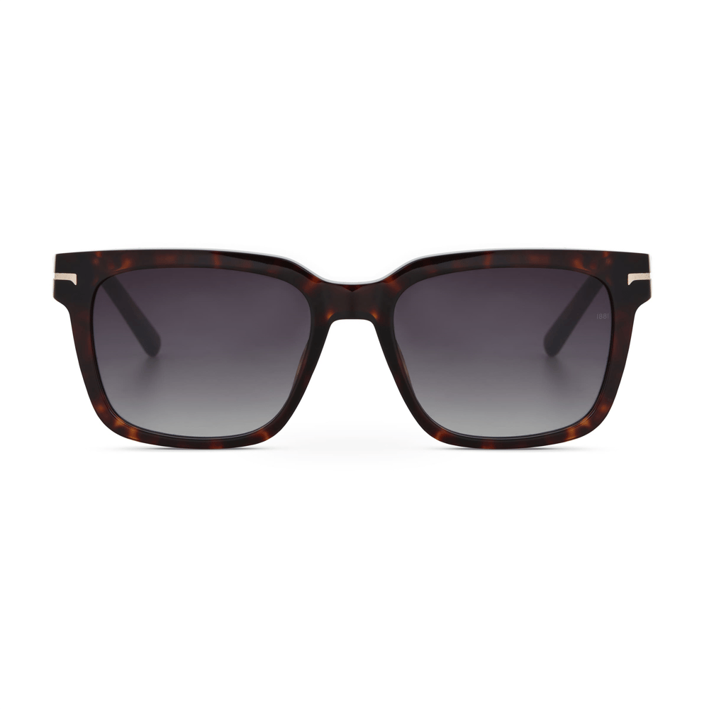 Cerruti 1881 CR 80010 C2 Erkek Güneş Gözlüğü
