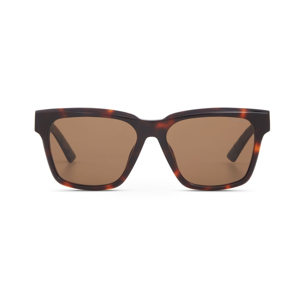 Cerruti 1881 CR 80070 C2 Erkek Güneş Gözlüğü