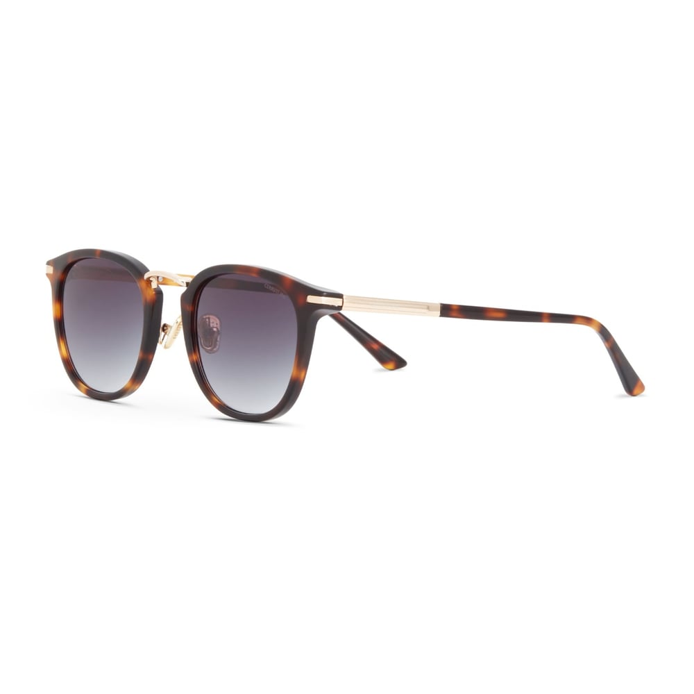 Cerruti 1881 CR 80081 C2 Erkek Güneş Gözlüğü