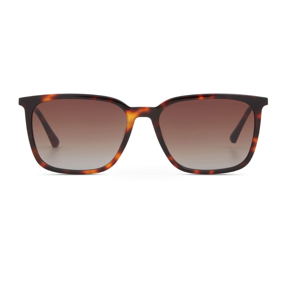Cerruti 1881 CR 80098 C2 Erkek Güneş Gözlüğü