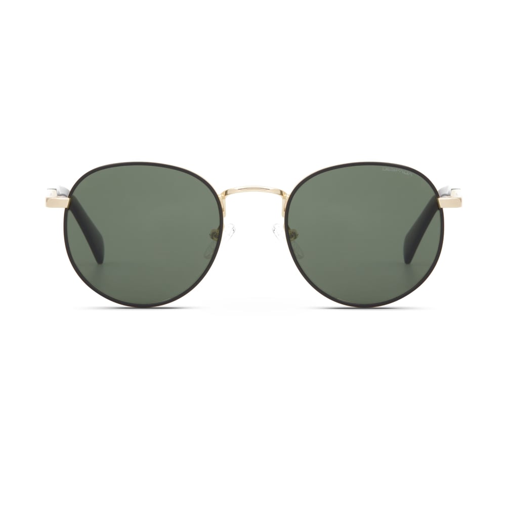 Despada DS 2385 C 1 Unisex Güneş Gözlüğü
