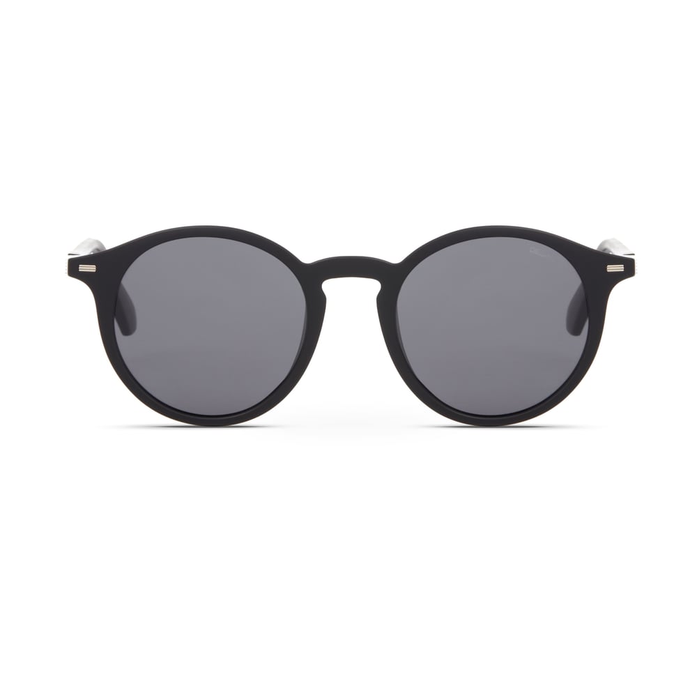 Despada DS 2386 C 2 Unisex Güneş Gözlüğü