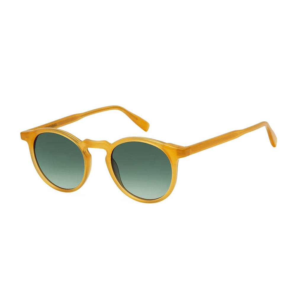 Gigi Studios Roy GS2005 55 Unisex Güneş Gözlüğü