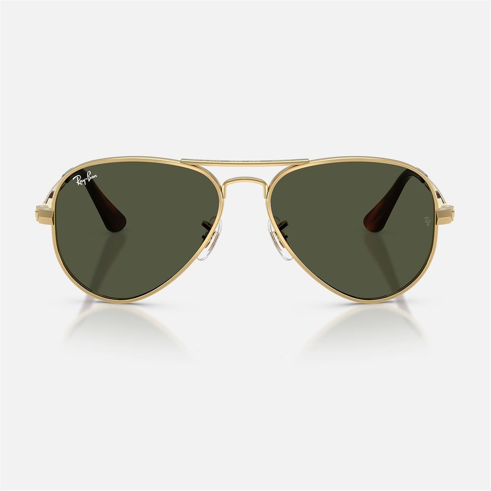 Ray-Ban RB 3925 001-3162 Unisex Güneş Gözlüğü