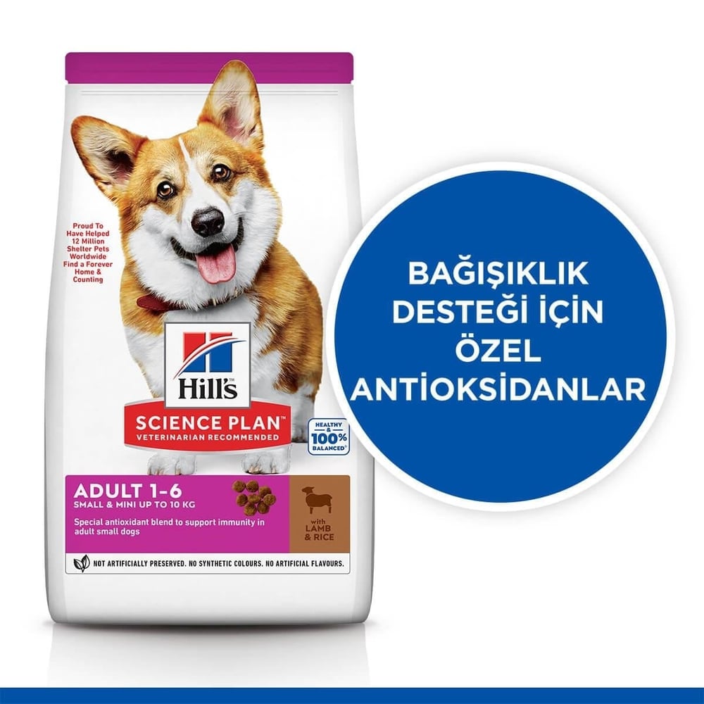 Hills Adult Small Mini Kuzulu Küçük Irk Yetişkin Köpek Maması 6Kg